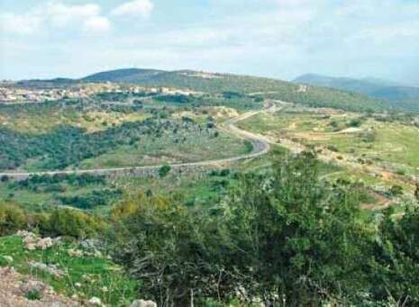 צילום: דובי זכאי צילום: דובי זכאי