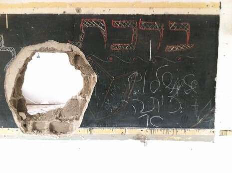 צילום: שניר פלג צילום: שניר פלג