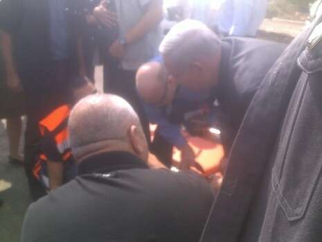צילום: אלי ברדנשטיין צילום: אלי ברדנשטיין