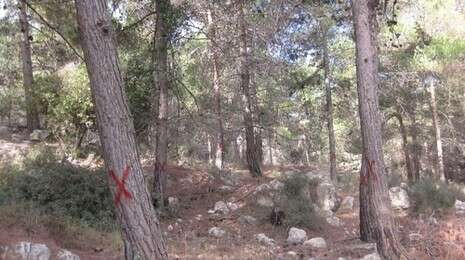 צילום: מטה המאבק צילום: מטה המאבק