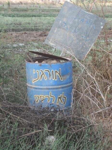 צילום: אורנית רז צילום: אורנית רז