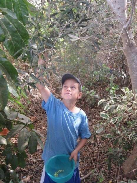 צילום: אורנית רז צילום: אורנית רז