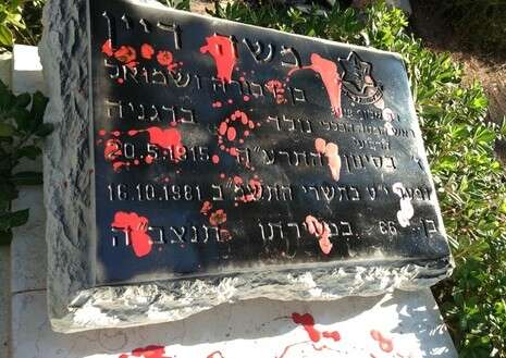 צילום: אוחנה יקי צילום: אוחנה יקי