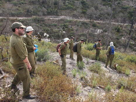 צילום: מקס ילינסון צילום: מקס ילינסון