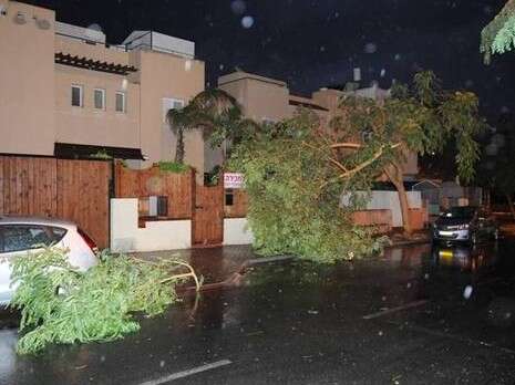 צילום: יהודה בן יתח צילום: יהודה בן יתח