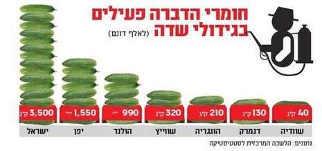 עיבוד מחשב עיבוד מחשב
