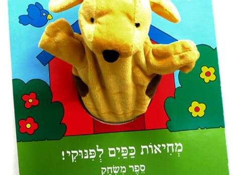כריכת הספר כריכת הספר