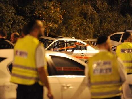 צילום: אבשלום ששוני צילום: אבשלום ששוני