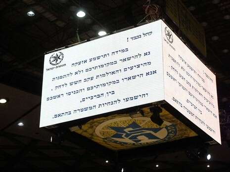 צילום: דני מרון צילום: דני מרון