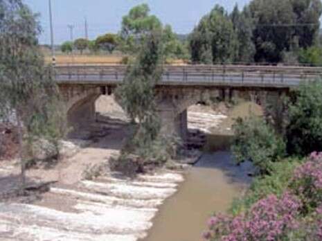 צילום: רון פרומקין צילום: רון פרומקין
