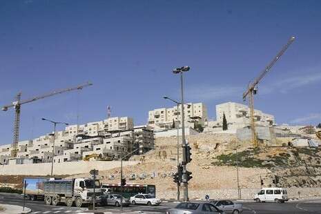 צילום ארכיון: שימי נכטיילר צילום ארכיון: שימי נכטיילר