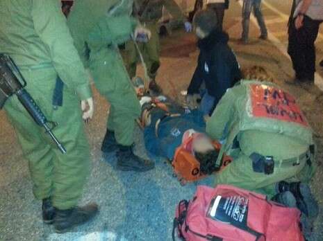 צילום: הצלה יו''ש צילום: הצלה יו''ש