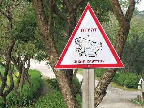 צילום: תום עמית, רשות הטבע והגנים צילום: תום עמית, רשות הטבע והגנים