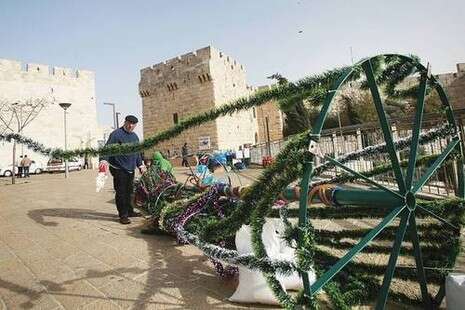 צילום: מירי צחי צילום: מירי צחי