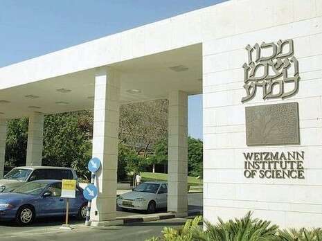 ברקאי וולפסון ברקאי וולפסון