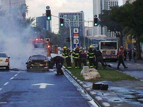 צילום: אלי דסה צילום: אלי דסה