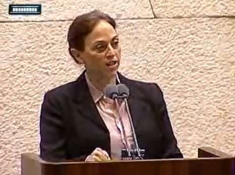 צילום מסך: ערוץ הכנסת צילום מסך: ערוץ הכנסת