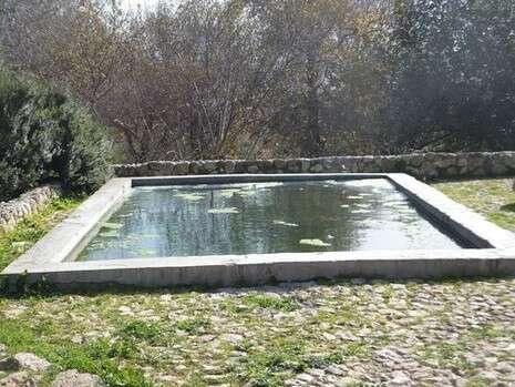 צילום: דובי זכאי צילום: דובי זכאי