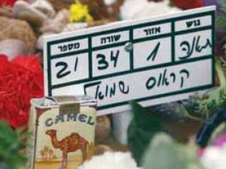 צילום: אלי דסה צילום: אלי דסה