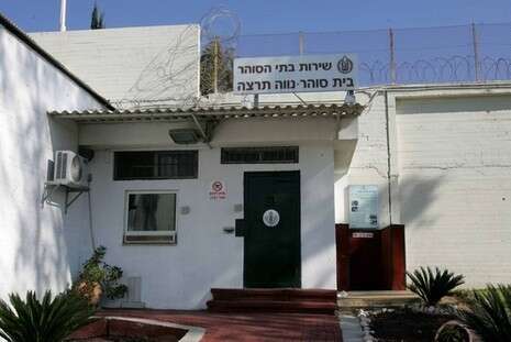 �����: ��� ���