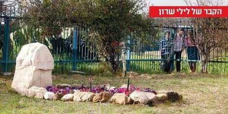 צילום: יוסי אלוני צילום: יוסי אלוני