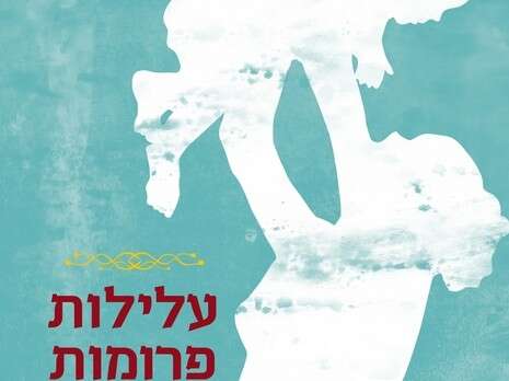 כריכת הספר כריכת הספר