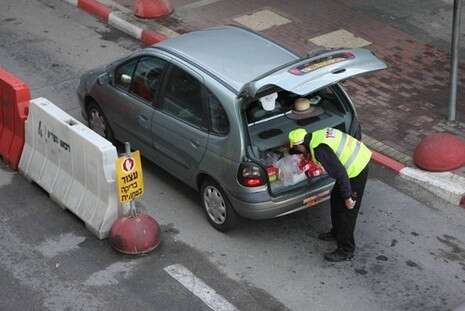 צילום: מקס ילינסון צילום: מקס ילינסון