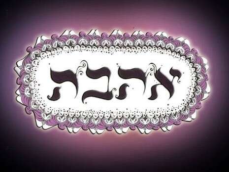 צילום: רביד פלג צילום: רביד פלג