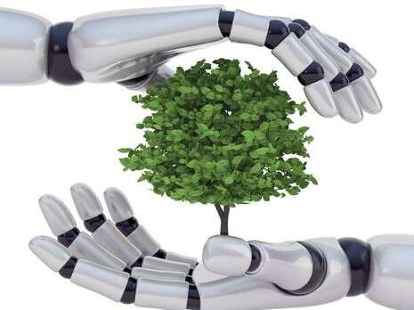 �����: shutterstock