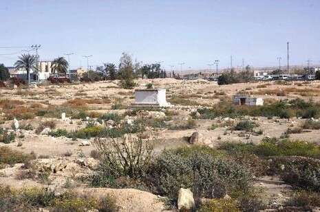 צילום: דודו גרינשפן צילום: דודו גרינשפן
