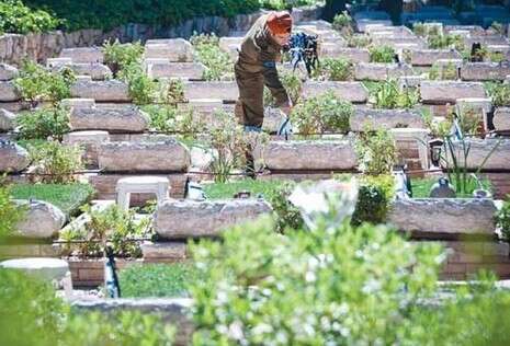 צילום: פלאש 90 צילום: פלאש 90