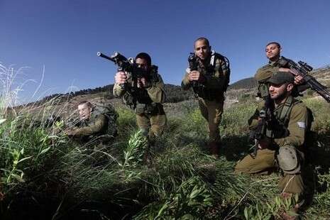 צילום: אלי דסה צילום: אלי דסה
