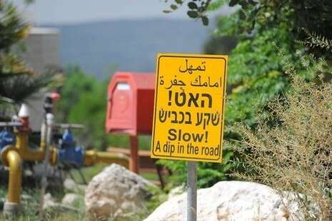 צילום: ראובן קסטרו צילום: ראובן קסטרו