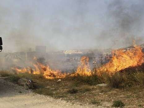 צילום: יוסי אלוני צילום: יוסי אלוני