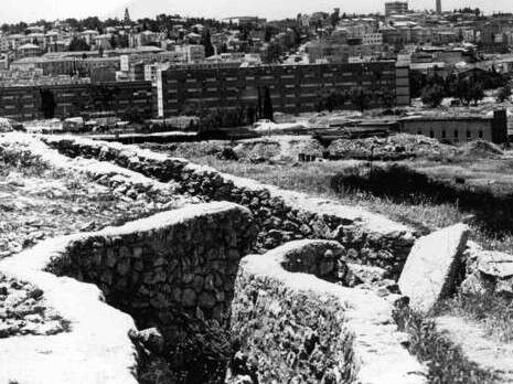צילום: משה מילנר, לע''מ צילום: משה מילנר, לע''מ