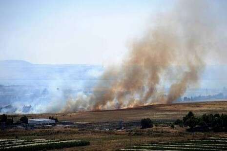 צילום: ג'סט קליקס צילום: ג'סט קליקס