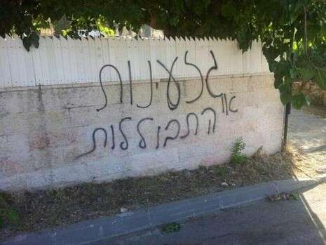 צילום: יוסי אלי צילום: יוסי אלי