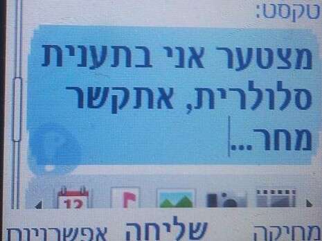 צילום: פייסבוק תנועת בני עקיבא צילום: פייסבוק תנועת בני עקיבא