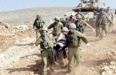 צילום: חיים אזולאי צילום: חיים אזולאי