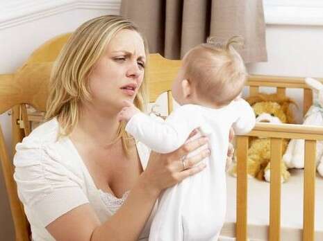 צילום: shutterstock צילום: shutterstock