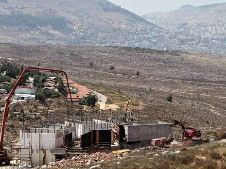 צילום: אלי דסה צילום: אלי דסה