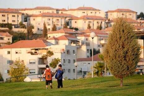 צילום: פלאש 90 צילום: פלאש 90