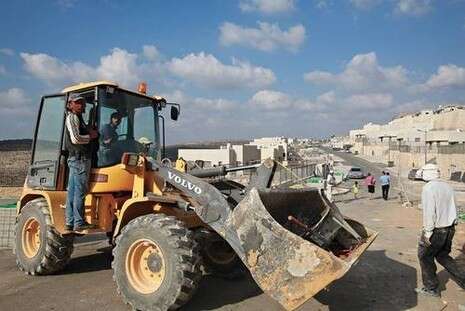 -צילום: מרים צחי -צילום: מרים צחי