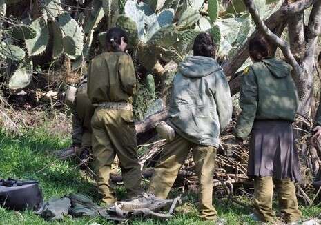 צילום: יגאל לוי צילום: יגאל לוי