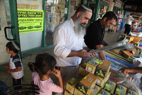 צילום: יהונתן שאול צילום: יהונתן שאול