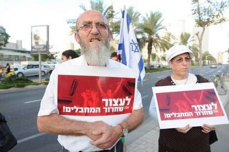 צילום: ראובן קסטרו צילום: ראובן קסטרו