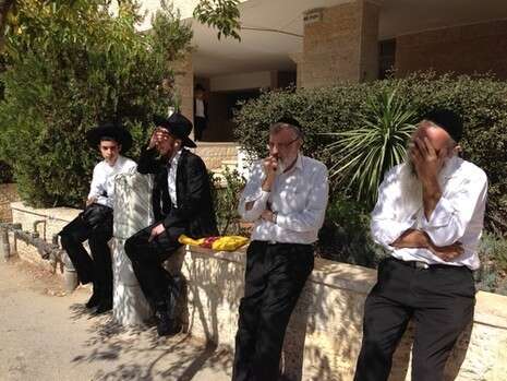 צילום: אופיר דוד צילום: אופיר דוד