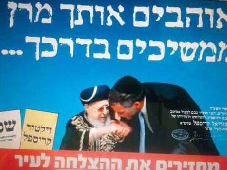 צילום: צילום: