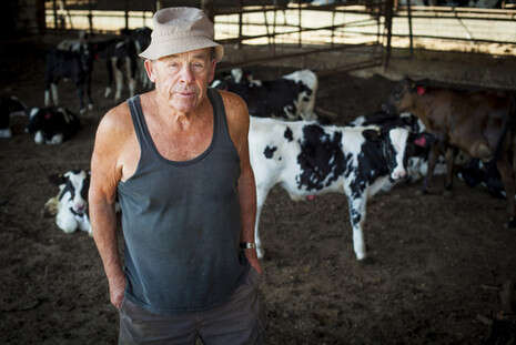 צילום: אריק סולטן צילום: אריק סולטן