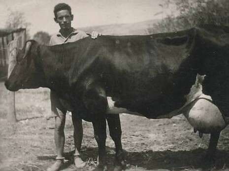 צילום: באדיבות אריה ירדן מזרע הפקות צילום: באדיבות אריה ירדן מזרע הפקות